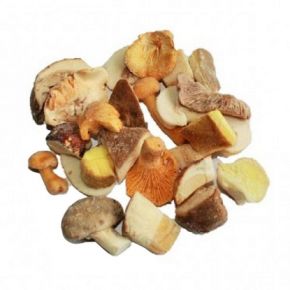 MEZCLA FORESTAL SILVESTRE 1KG