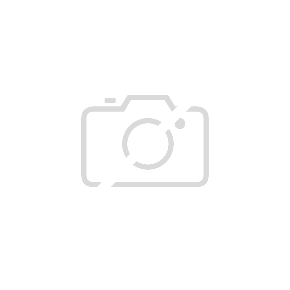 LANGOSTINO CRUDO MONODON 2KG