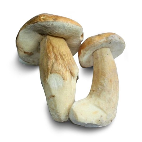BOLETUS EDULIS GRA.I EXTRA 1KG